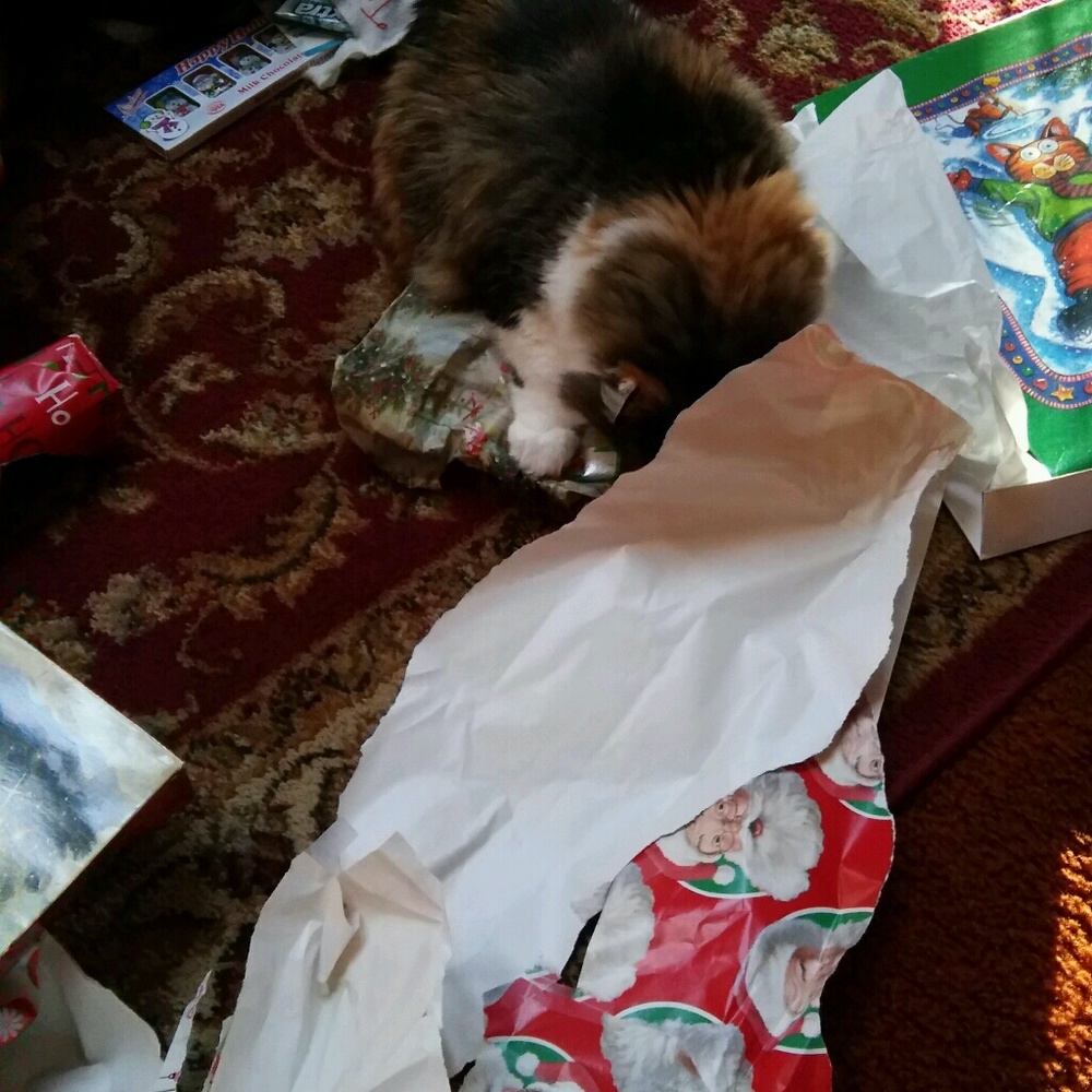 Meet your Posher, Desiree